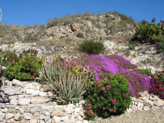 Almond Reef Casa Rural Los Alias Oda fotoğraf